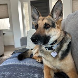 Meet your Posher, Todd